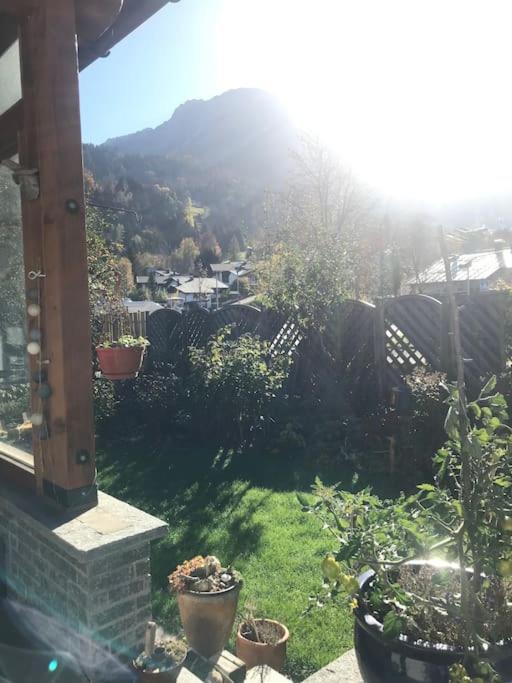 Haus Steiner Apartment *
