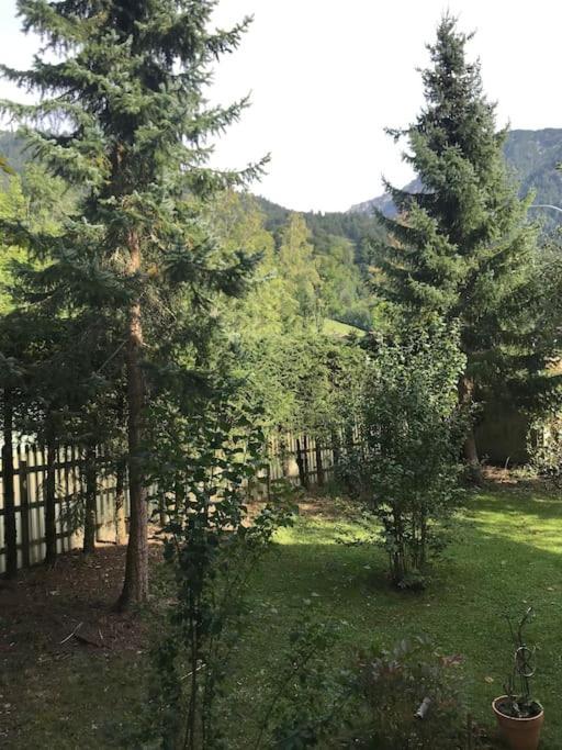 Haus Steiner * Oberstdorf